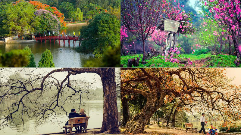Best Time to visit in the North of Vietnam